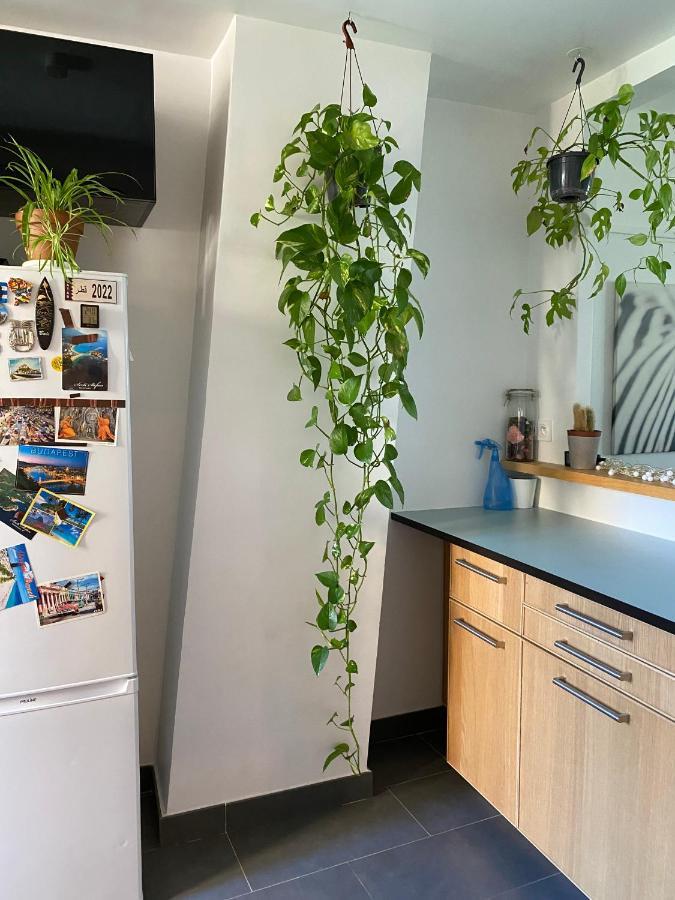 파리 Grand F2 Avec Vue Sur La Maison De Georges Brassens 아파트 외부 사진